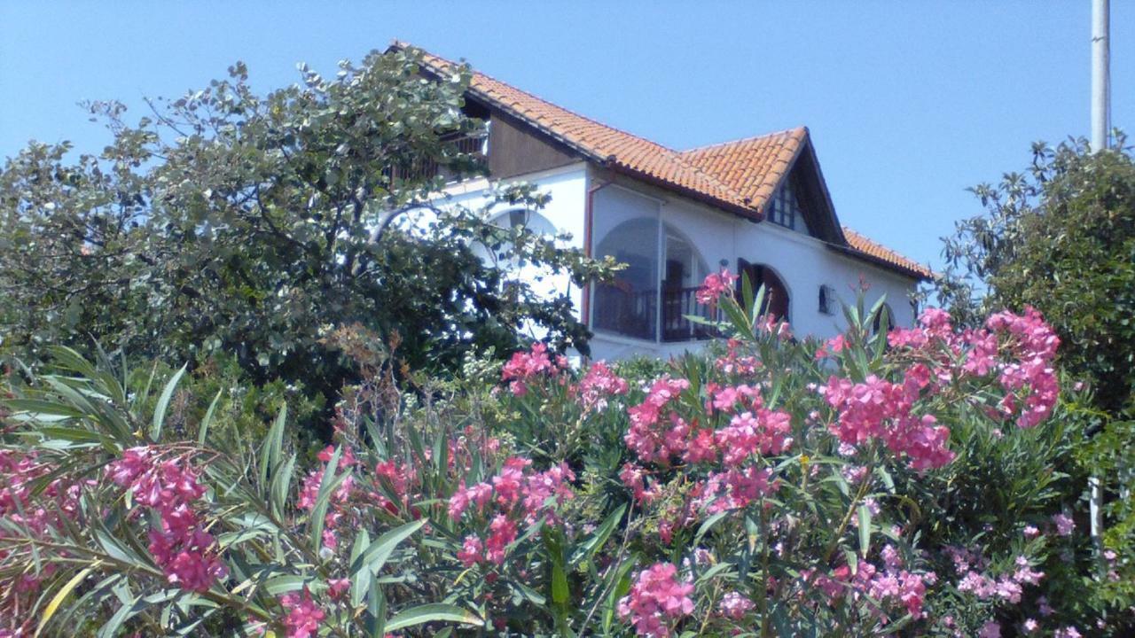 Villa Iris Vrasná Exterior foto